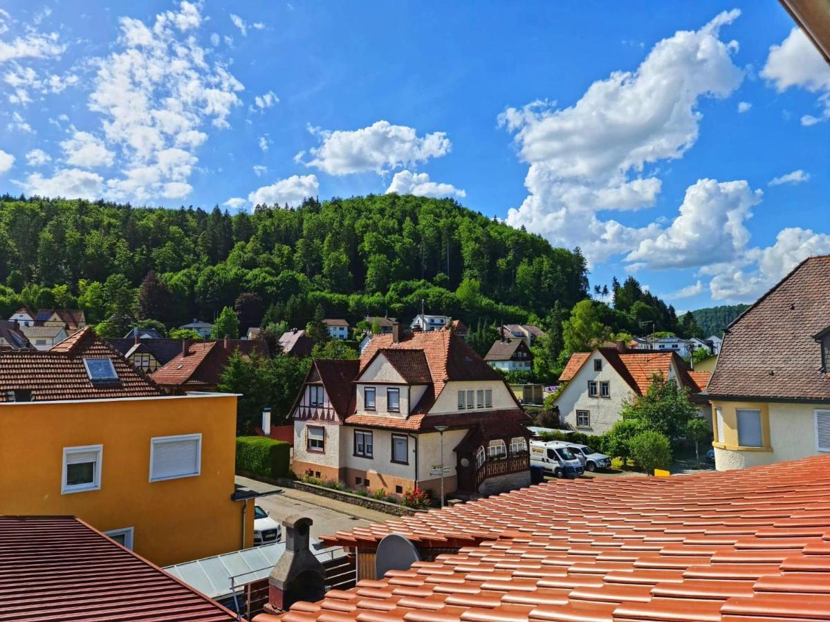 Pension Transilvania Immendingen Eksteriør bilde
